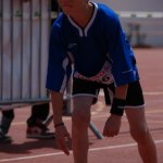 2012 dsWs