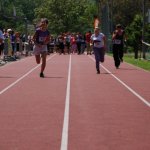 2012 dsWs