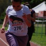 2012 dsWs