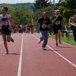 2012 dsWs