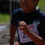 2012 dsWs